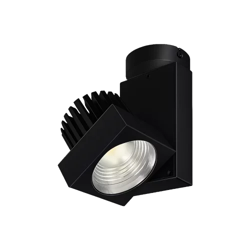 ph-chaga-pat-848